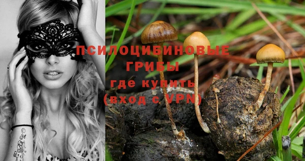 MDMA Белокуриха