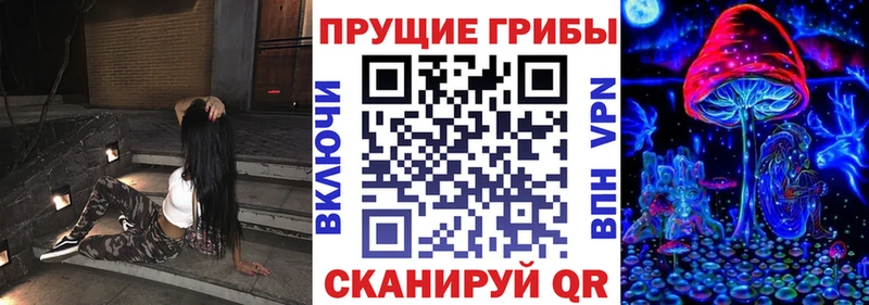Купить закладки  Бузулук  Псилоцибиновые грибы мицелий 